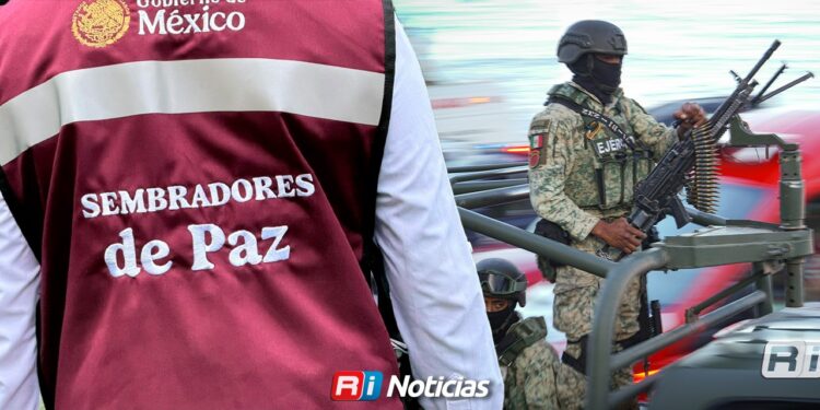 “La paz no se logra con fuerza” se debe atender el origen de la violencia: Guadalupe Lachino