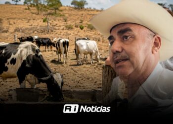 Ganaderos alertan que gusano barrenador ya se encuentra cerca del sur de Sinaloa
