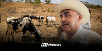 Ganaderos alertan que gusano barrenador ya se encuentra cerca del sur de Sinaloa