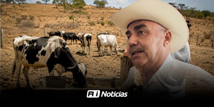 Ganaderos alertan que gusano barrenador ya se encuentra cerca del sur de Sinaloa