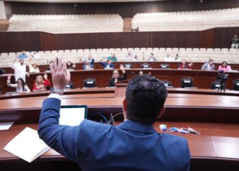 Congreso de Sinaloa aprueba reformas que garantizan atención a salud mental, incluido espectro autista