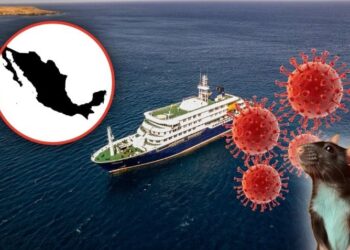 México emite su primer Aviso Epidemiológico por hantavirus tras brote en el crucero MV Hondius