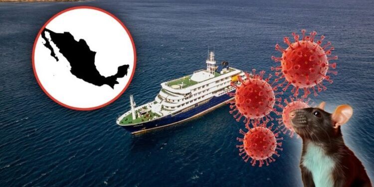 México emite su primer Aviso Epidemiológico por hantavirus tras brote en el crucero MV Hondius