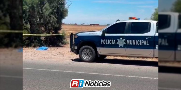 Encuentran a joven asesinado en la carretera Culiacán-Eldorado