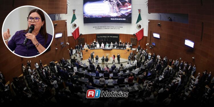 Imelda Castro pide licencia al Senado; buscará coordinación de Morena en Sinaloa