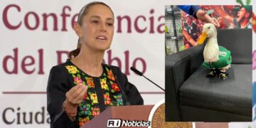 Del Mundial a Palacio Nacional: Sheinbaum invita a “Merlín”, el pato viral de la afición mexicana