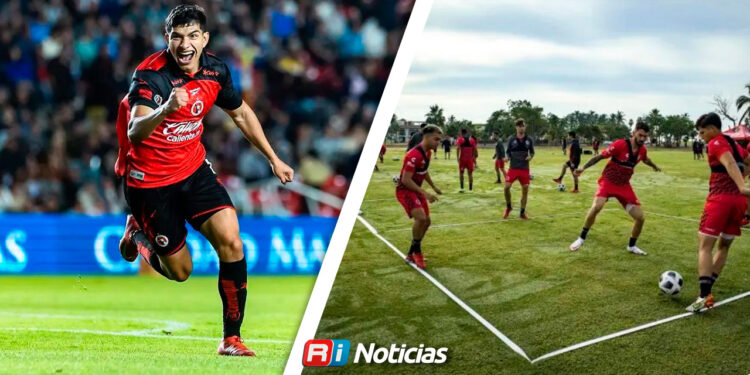 Xolos realizará pretemporada en Mazatlán rumbo al Apertura 2026