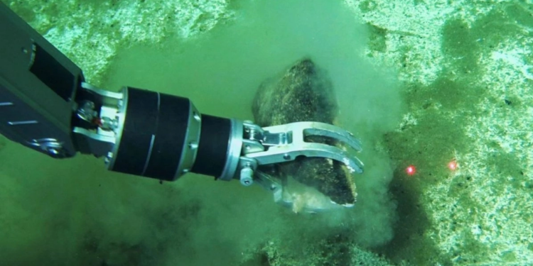 Descubren antiguo cementerio de ballenas en las profundidades del océano Índico