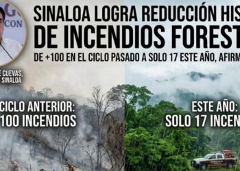 Sinaloa registra 17 incendios forestales este año tras cerrar el periodo anterior con más de 100: Roy Navarrete