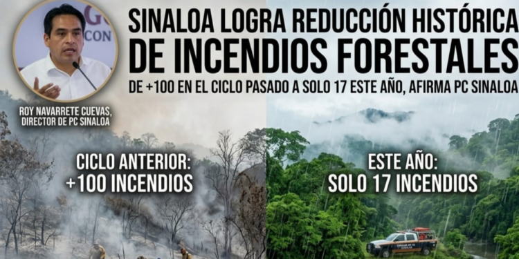 Sinaloa registra 17 incendios forestales este año tras cerrar el periodo anterior con más de 100: Roy Navarrete