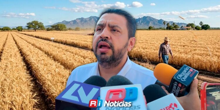 Sinaloa activa programa de estimulación de lluvias para garantizar agua en presas y ciclo agrícola