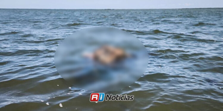 Encuentran dos cuerpos en descomposición flotando frente a las costas de Navolato