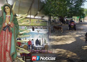 Naturaleza, comida y tranquilidad: la apuesta de la zona rural de Mazatlán