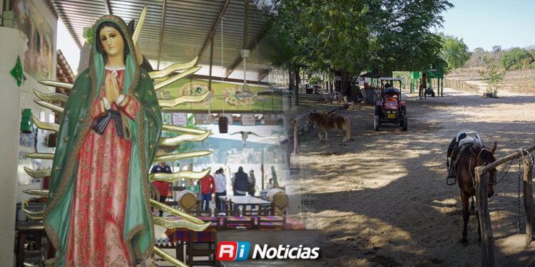 Naturaleza, comida y tranquilidad: la apuesta de la zona rural de Mazatlán