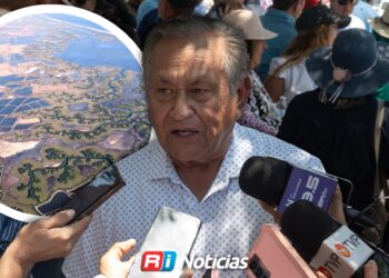 Solo la mitad de las granjas camaroneras operan en Sinaloa por crisis del sector