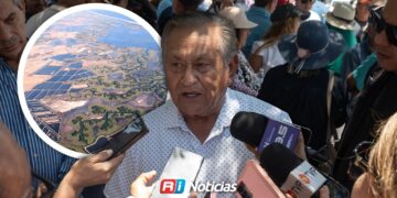Solo la mitad de las granjas camaroneras operan en Sinaloa por crisis del sector
