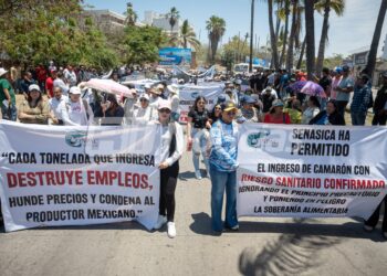 Productores de camarón toman las calles para exigir freno a importaciones