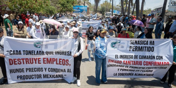 Productores de camarón toman las calles para exigir freno a importaciones