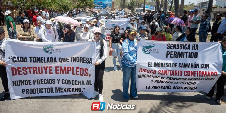 Contrabando de camarón sigue entrando por aduanas, denuncian productores