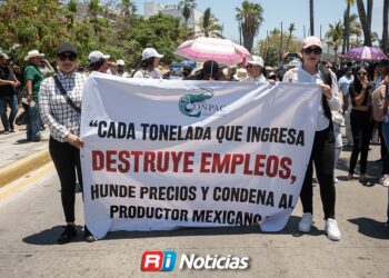 De 11 plantas procesadoras, solo seis continúan operando en Mazatlán