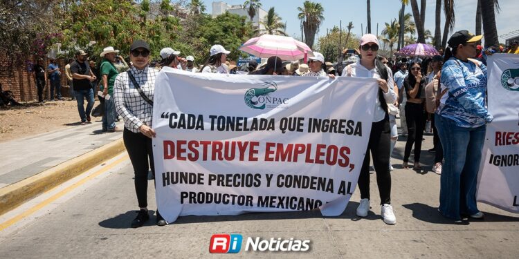 De 11 plantas procesadoras, solo seis continúan operando en Mazatlán