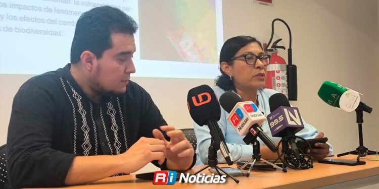 Sistema Anticorrupción exhibe inconsistencias en proyectos inmobiliarios promovidos en Mazatlán