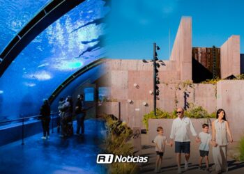 Acuario de Mazatlán: Abonos constantes frenan posibilidad de juicio por adeudo millonario