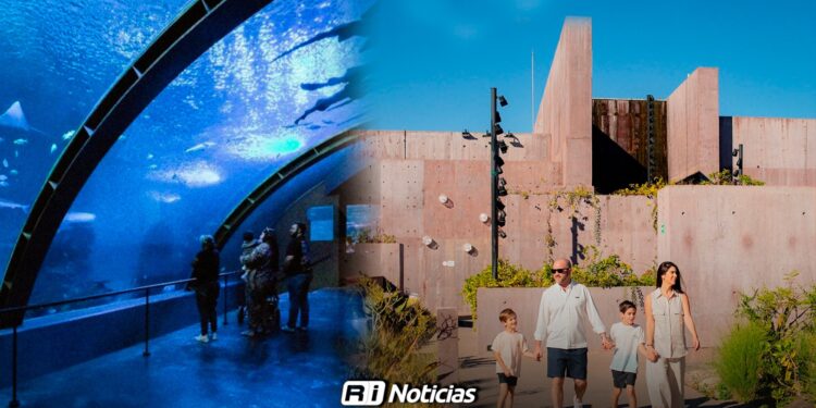 Acuario de Mazatlán: Abonos constantes frenan posibilidad de juicio por adeudo millonario