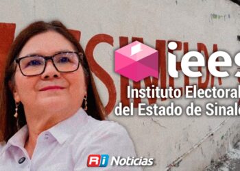 IEES sanciona a senadora Imelda Castro por promoción personalizada pero descarta actos anticipados