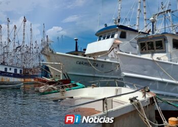 Más de la mitad de la flota camaronera permanece inactiva en Mazatlán