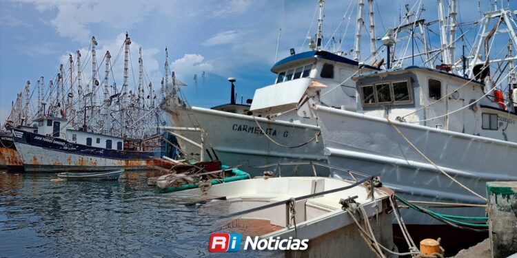 Más de la mitad de la flota camaronera permanece inactiva en Mazatlán