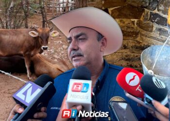 Con pozos secos, ganaderos de Mazatlán esperan lluvias constantes para aliviar la crisis de agua