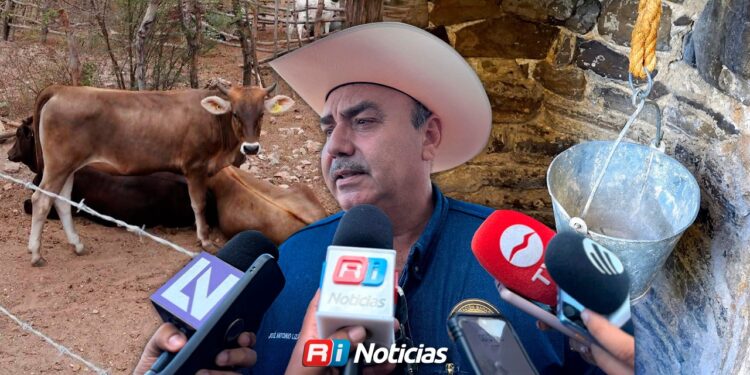 Con pozos secos, ganaderos de Mazatlán esperan lluvias constantes para aliviar la crisis de agua