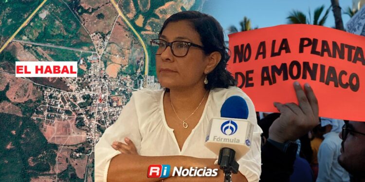 Omisiones ambientales en iniciativa de Ley de Transparencia ponen en riesgo la flora y fauna en Sinaloa