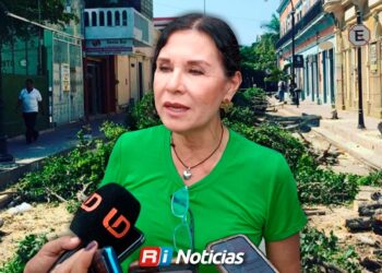 Ciudadanos deben prevenir poda en sus banquetas: Servicios Públicos de Mazatlán