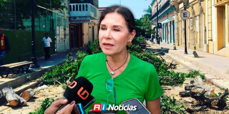 Ciudadanos deben prevenir poda en sus banquetas: Servicios Públicos de Mazatlán