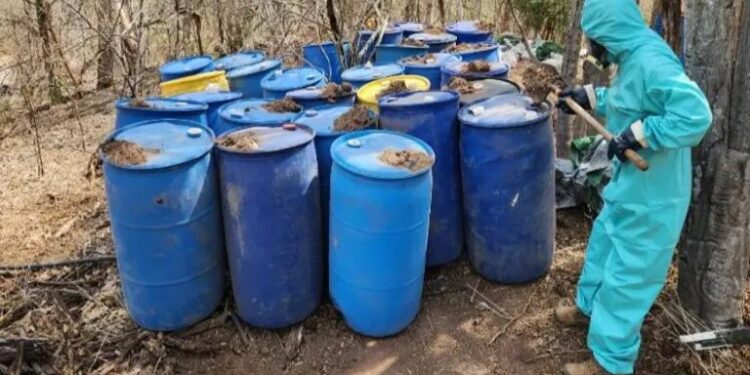 Ejército localiza e inhabilita 34 narcolaboratorios en Culiacán y Mocorito