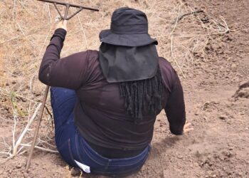 Localizan restos óseos durante jornada de búsqueda en Concordia