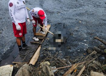 Estructura torácica localizada en marisma pertenece a un cerdo