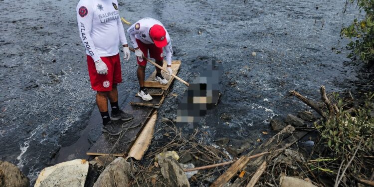 Estructura torácica localizada en marisma pertenece a un cerdo