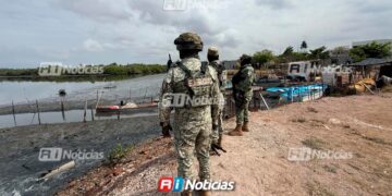 Localizan torso humano en marisma de la Quinta Chapalita, al sur de Mazatlán