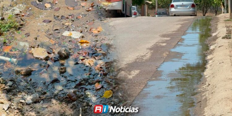 Ignora Jumapam fuga de agua potable en Fraccionamiento San Marcos; van tres semanas de desperdicio