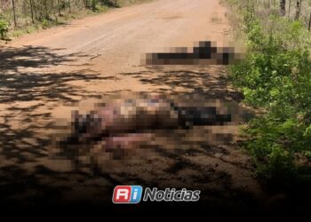 Localizan tres cuerpos entre Agua Blanca y El Guasimal, en Tepuche