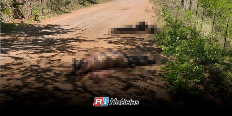 Localizan tres cuerpos entre Agua Blanca y El Guasimal, en Tepuche