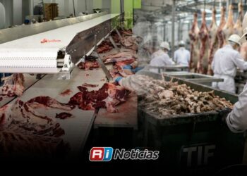 Captura Rastro TIF hasta 13 mil kilos semanales de desechos para reducir contaminación