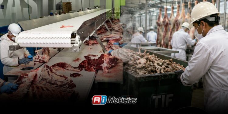 Captura Rastro TIF hasta 13 mil kilos semanales de desechos para reducir contaminación
