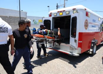 Motociclista se impacta contra camioneta frente a El Campestre, en Mazatlán; sufre probable fractura