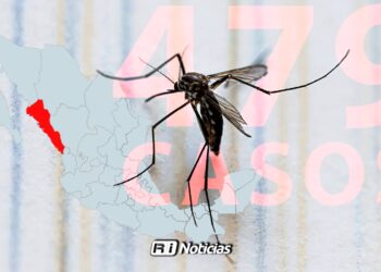 Sinaloa acumula 479 casos de dengue en 2026; Mazatlán registra solo 13