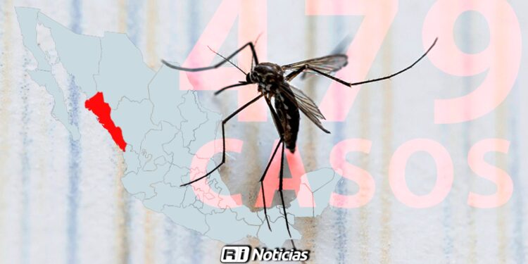 Sinaloa acumula 479 casos de dengue en 2026; Mazatlán registra solo 13