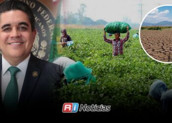 Ricardo Madrid gestiona apoyos para el campo de Sinaloa ante sequía, crisis agrícola